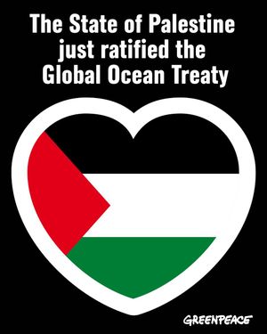 Image post by @greenpeace on Instagram