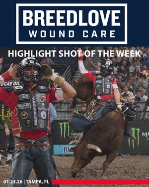 Image post by @flfreedompbr on Instagram