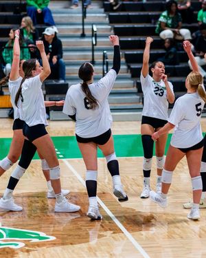 Image post by @meangreenvb on Instagram
