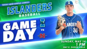 Image post by @islandersbsb on Instagram