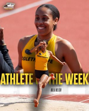 Image post by @gopetrelstrack on Instagram