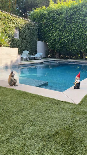 Video post by @wayfair on TikTok