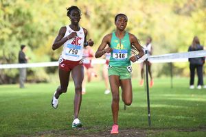 Image post by @paulmerca70601 on Instagram