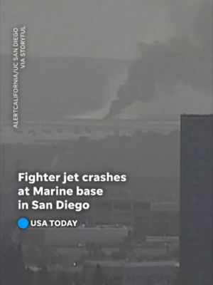 Video post by @usatoday on TikTok