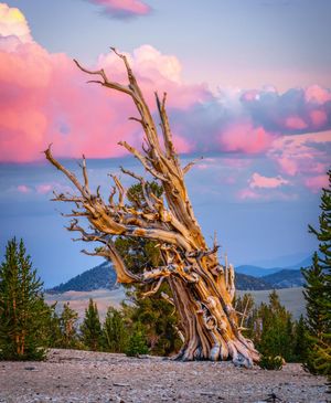 Image post by @visitcalifornia on Instagram