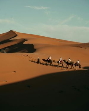 Image post by @unsplash on Instagram