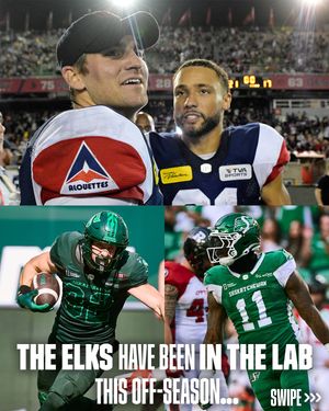 Image post by @cfl on Instagram