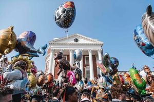 Image post by @uva on Instagram