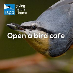 Image post by @rspb on Instagram