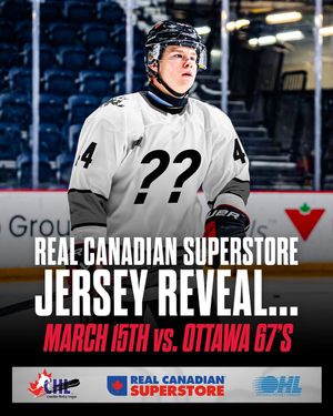 Image post by @ohlicedogs on Instagram