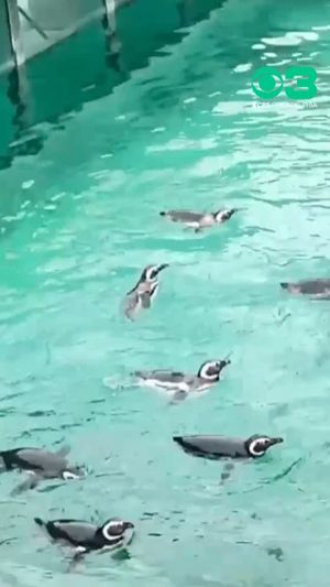 Video post by @cbsphiladelphia on Instagram