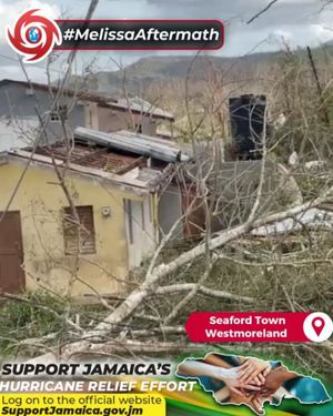 Image post by @jamaicaobserver on Instagram