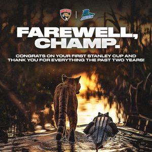 Image post by @fl_everblades on Instagram