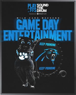 Image post by @panthers on Instagram