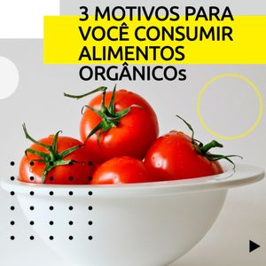 Image post by @brunopatricknutri on Instagram