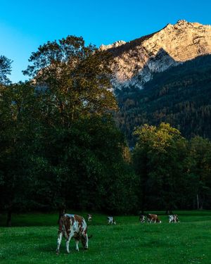 Image post by @cristan.nature.photography on Instagram