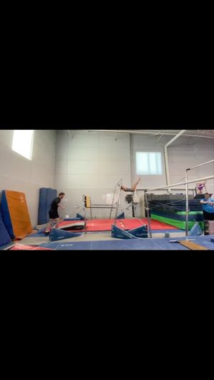 Video post by @avery.neff on Instagram