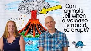 Video post by @pennstate on YouTube