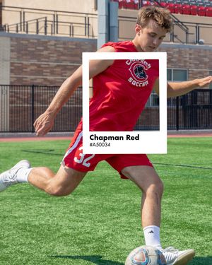 Image post by @chapmanu on Instagram
