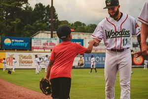Image post by @GoWoodDucks on Twitter
