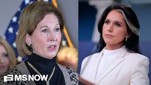 Video post by @msnbc on YouTube