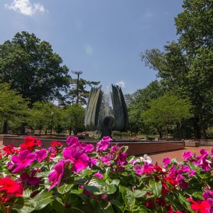 Image post by @marshallu on Instagram