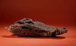 Image post by @ROMtoronto on Twitter