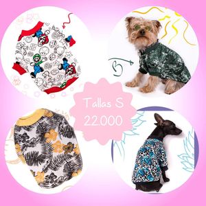 Image post by @babaamstore on Instagram