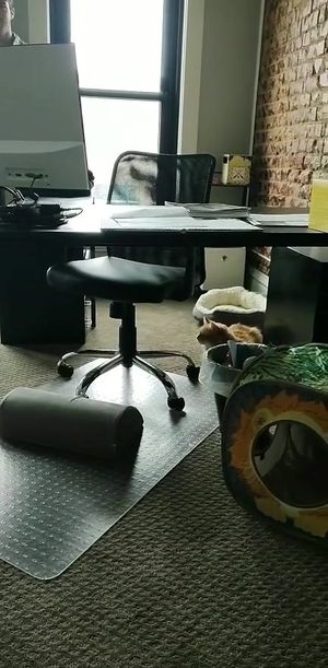 Video post by @GoodStewardConsulting on Facebook