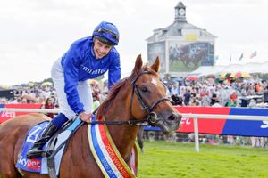 Image post by @godolphin on Instagram