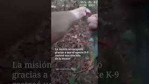 Video post by @nmasunivision on YouTube