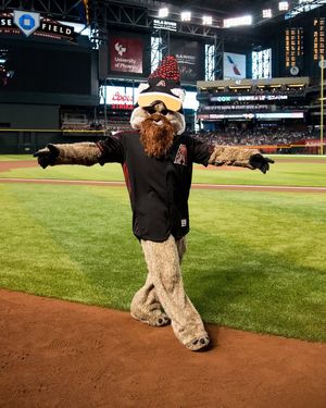 Image post by @dbacksbaxter on Instagram