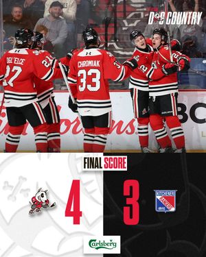 Image post by @ohlicedogs on Instagram