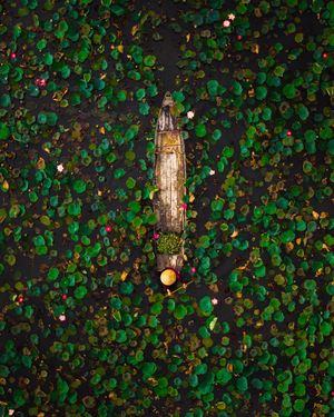 Image post by @droneartgallery on Instagram