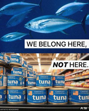 Image post by @peta on Instagram