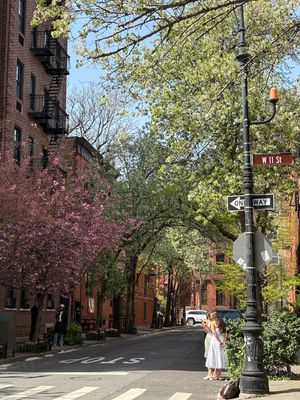 Image post by @meetnyu on Instagram