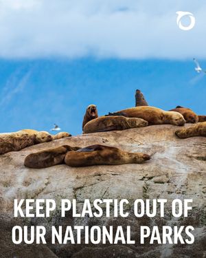 Image post by @oceana on Instagram