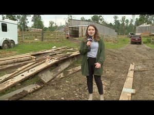 Video post by @MeredithStruewing on YouTube