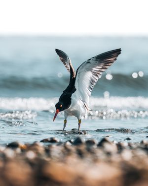 Image post by @danigoinhamm on Instagram