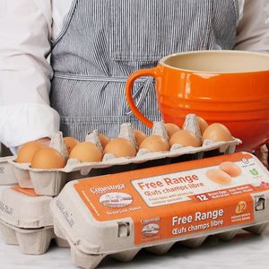 Image post by @conestoga_eggs on Instagram