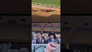 Video post by @worldhorseracing on YouTube