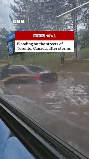 Image post by @bbcnews on Instagram