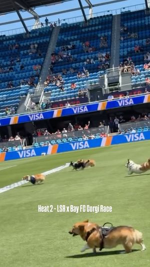 Video post by @littlestumpsracing1 on Facebook