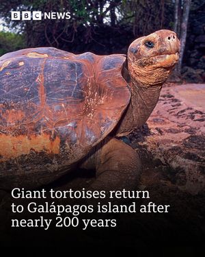 Image post by @bbcnews on Instagram