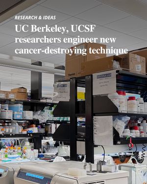 Image post by @dailycal on Instagram