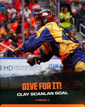 Image post by @nllbandits on Instagram