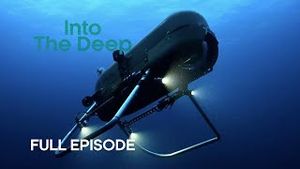 Video post by @bbcearth on YouTube