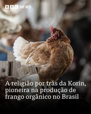 Image post by @bbcbrasil on Instagram