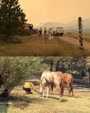 Image post by @calfire on Instagram