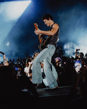 Image post by @shawnaccess on Instagram